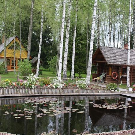 Holiday Home Berzlejas Upesgriva Bagian luar foto